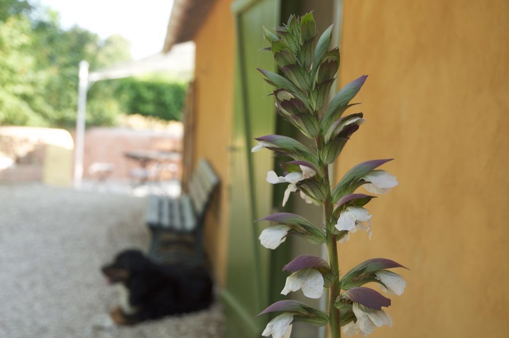Le Petit Bacalan Βίλα Mormoiron Δωμάτιο φωτογραφία